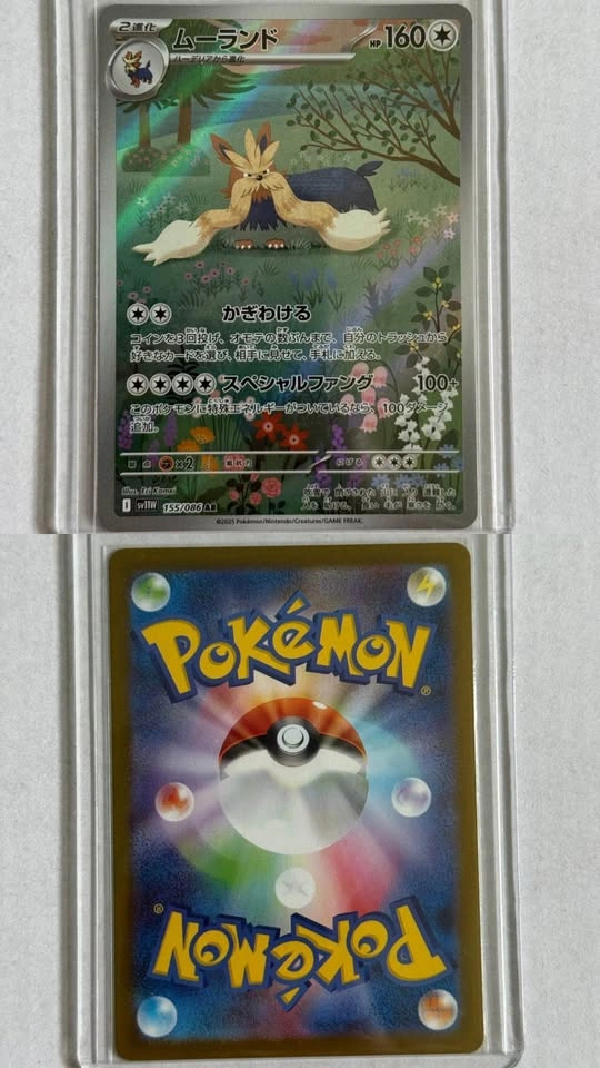 Pokemon Cards (no trade) - photo 4