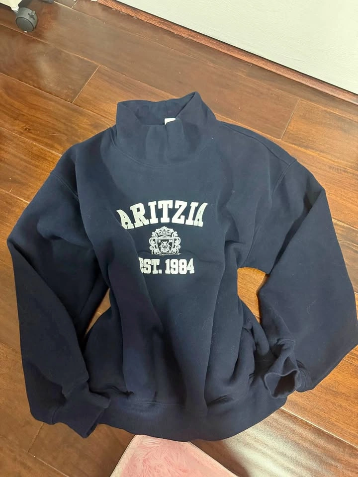 Aritzia Turtleneck