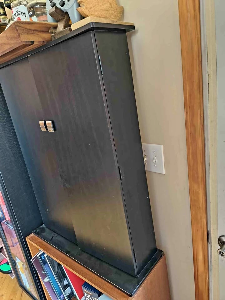 Black cabinet, pantry