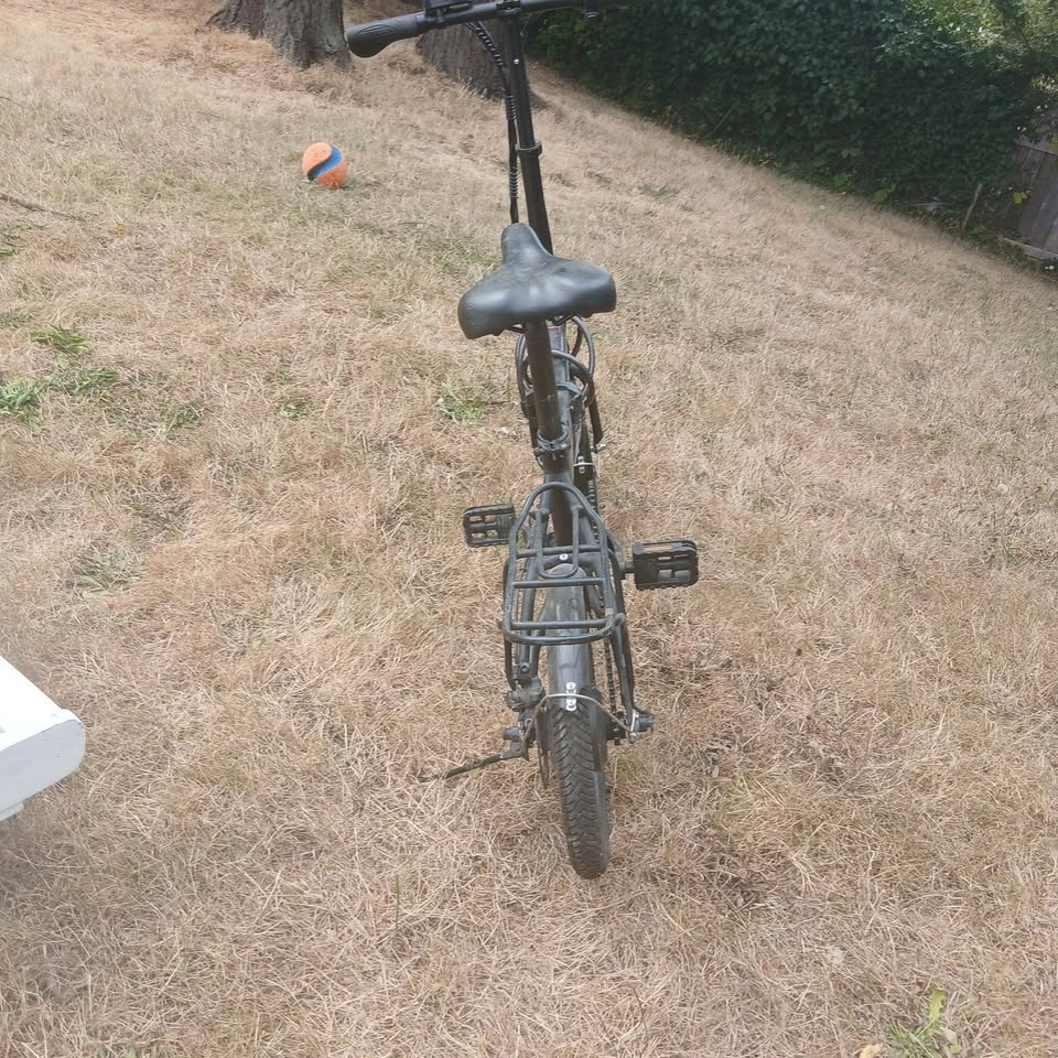 E-Bike - photo 2