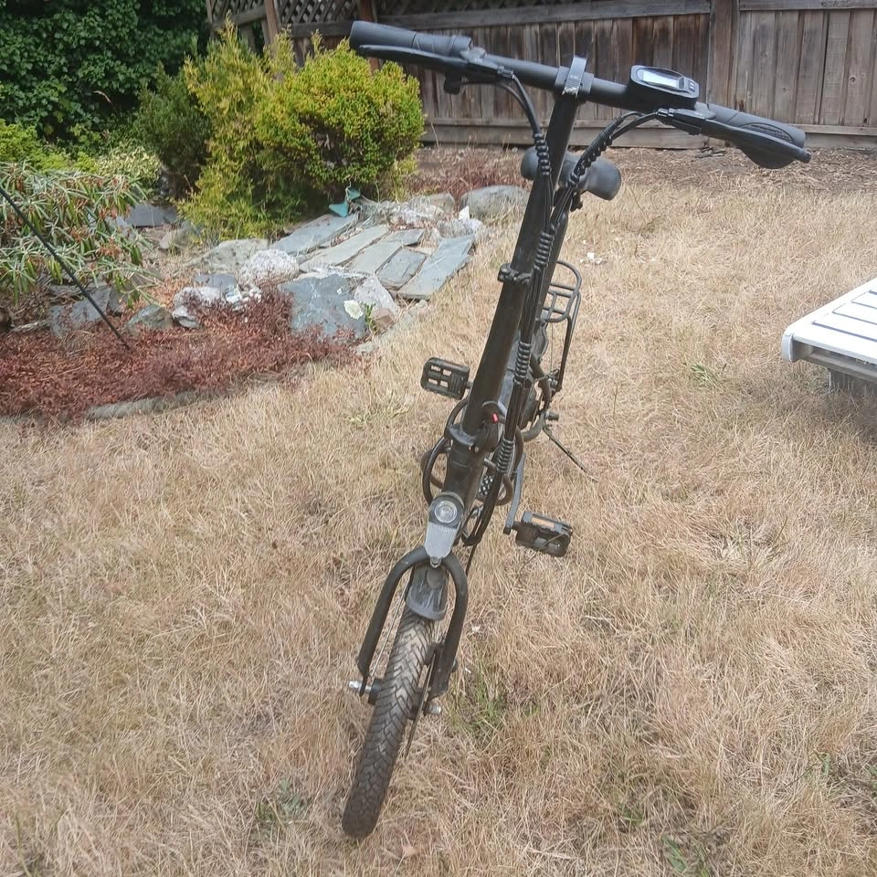 E-Bike - photo 3