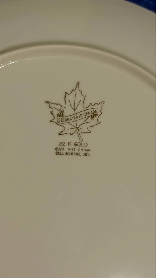 Collector Plates - photo 3