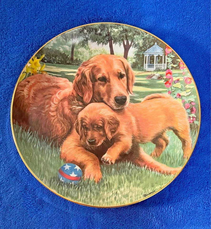 Collection Plate