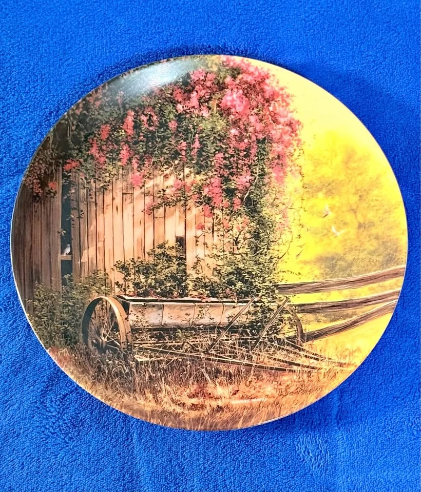 THE VINTAGE SEED PLANTER PLATE BY MAURICE HARVEY