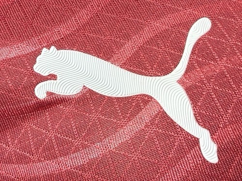 Ronaldo Portugal Home Jersey World Cup 2026- Men Size L - photo 4