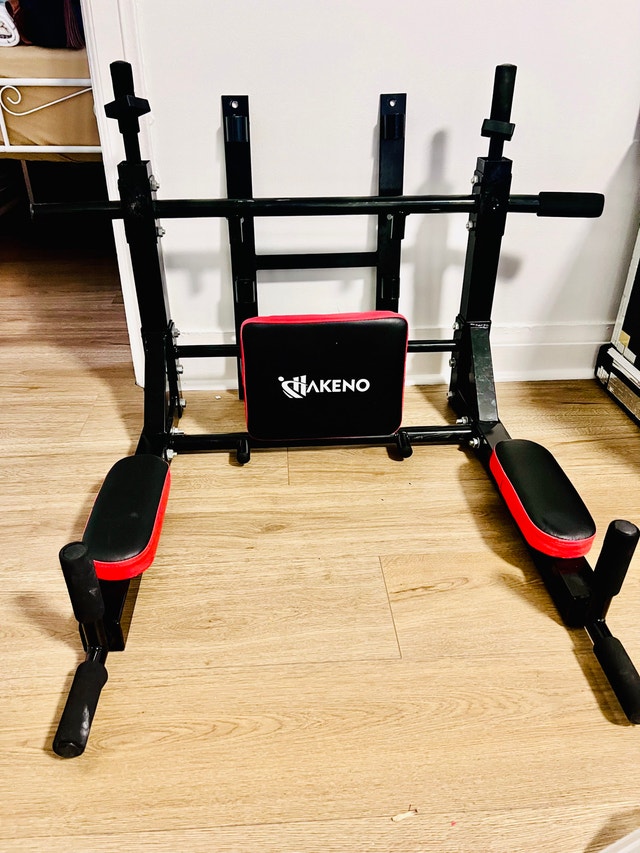 Akeno 2-in-1 Wall Mounted Pull-Up Bar and Dip Station