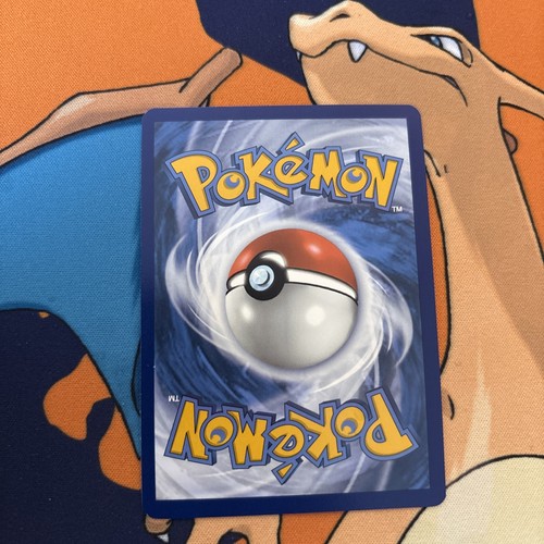 Snover 100/091 SV: Paldean Fates Holo NM - photo 2