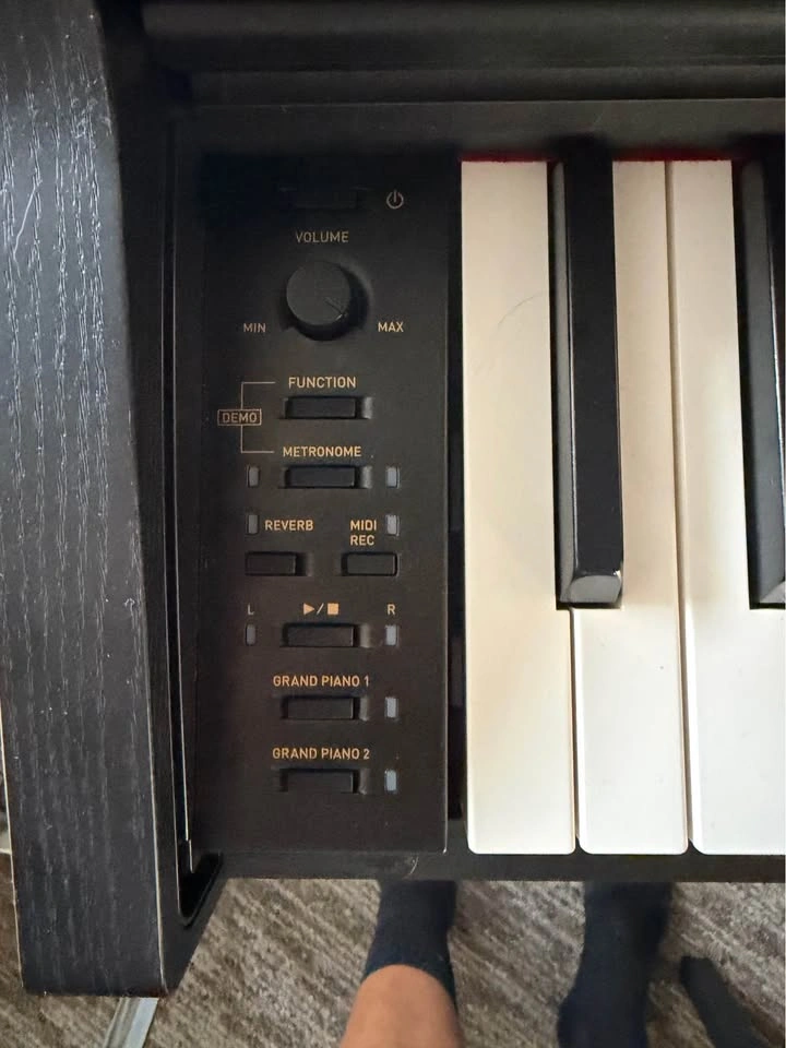 Casio AP-265 Digital Piano - photo 5