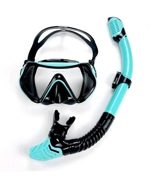 Professional Snorkel Set