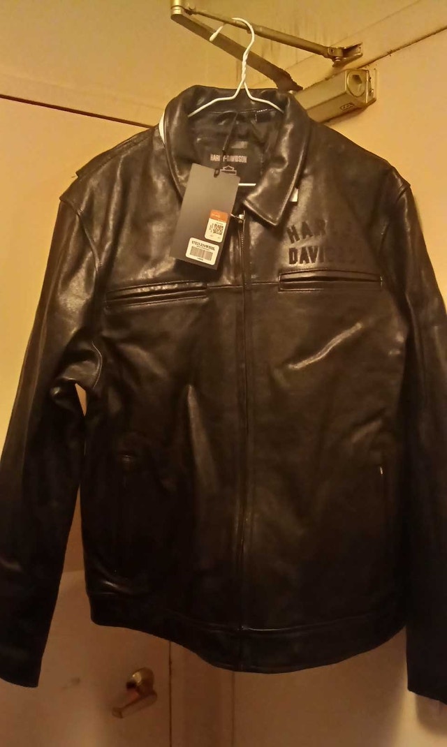 Harley Davidson Leather Jacket