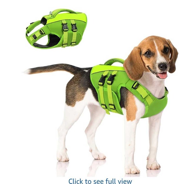 Queenmore Dog Life Jacket