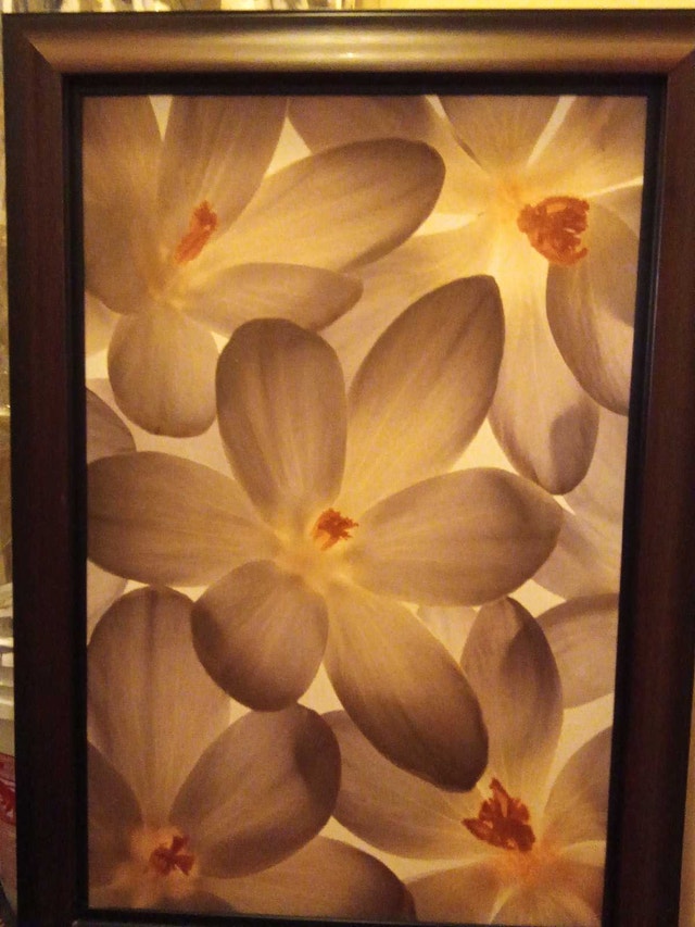 Art Market Floral Art