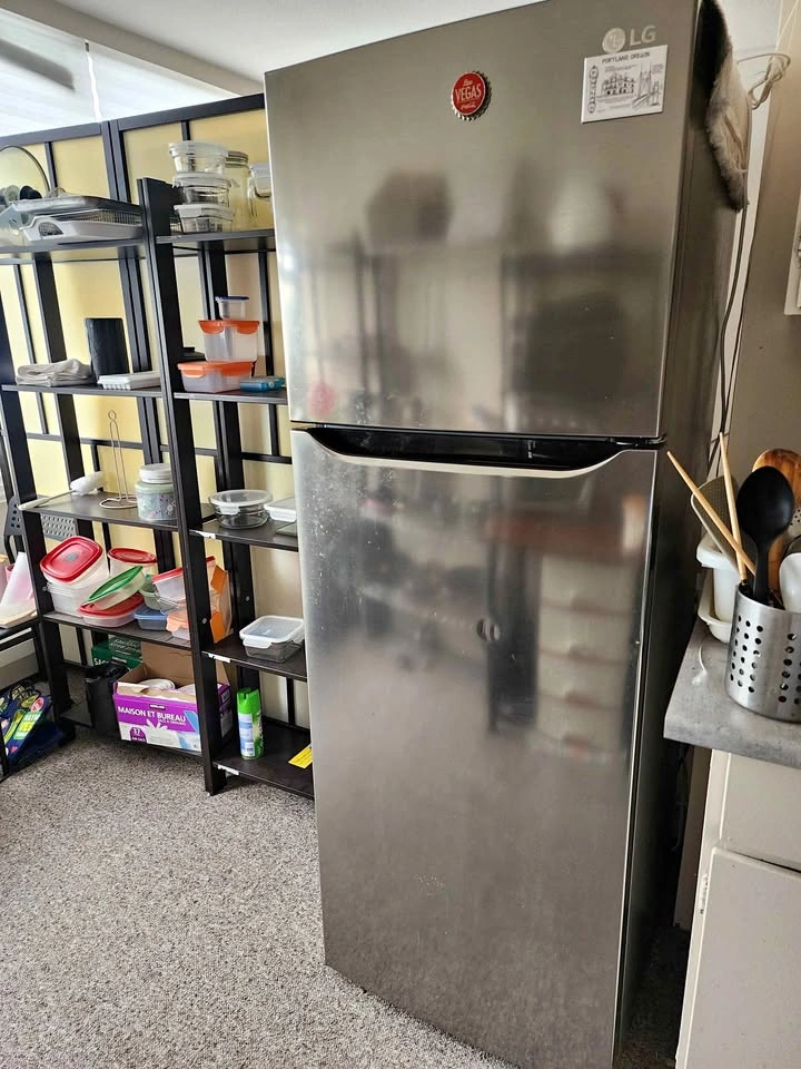 LG 11 Cu. Ft. 24" Refrigerator