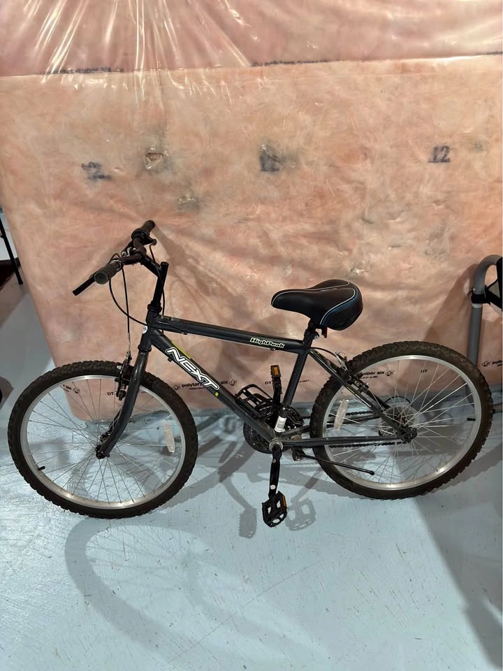 Next 24" Bicycle