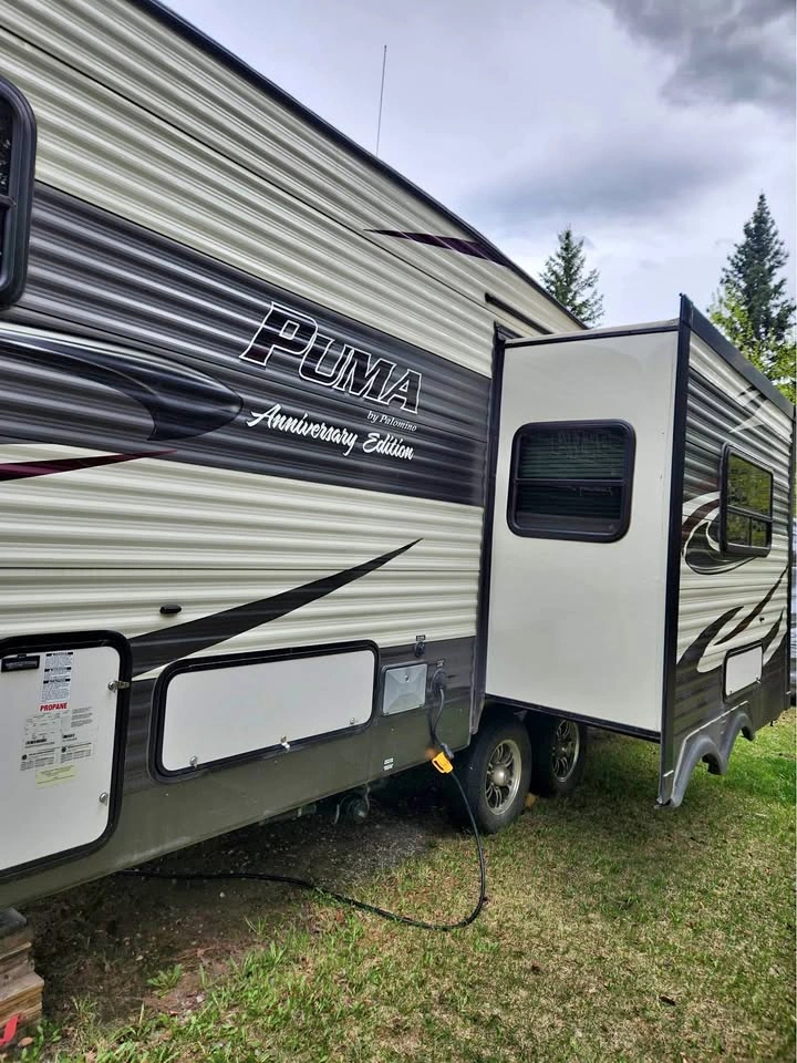 2015 Palomino Puma