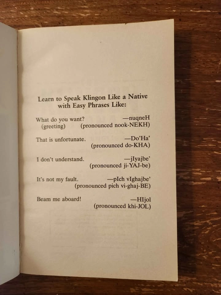 Klingon Dictionary - Vintage Star Trek Book - photo 3