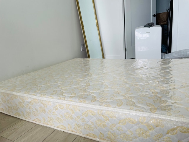 Queen Firm Mattress - photo 2