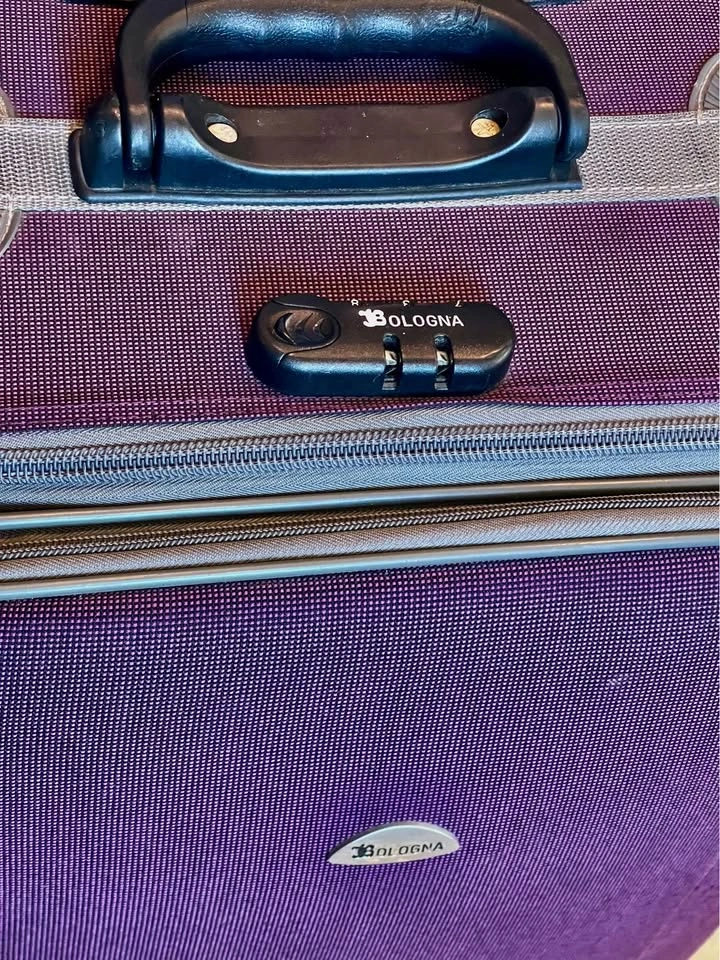 Bologna Purple Softshell Spinner Suitcase - photo 2