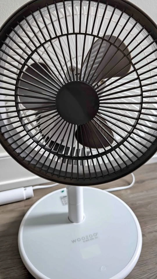 Woozoo Pedestal Fan