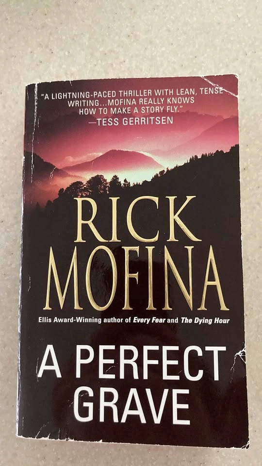 A Perfect Grave Book