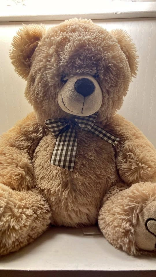 Bear Plush Stuffy