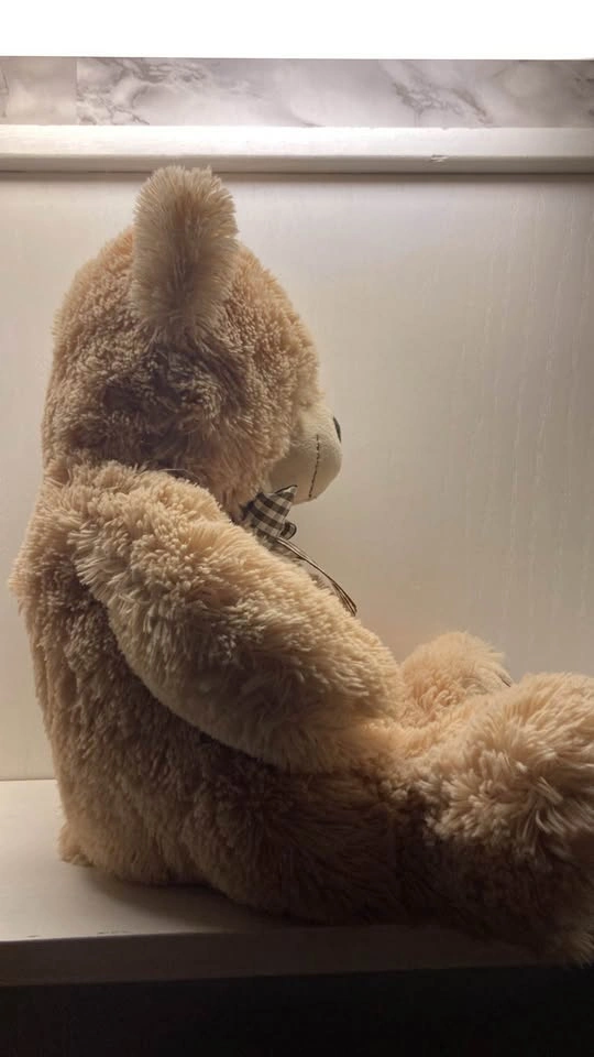 Bear Plush Stuffy - photo 2