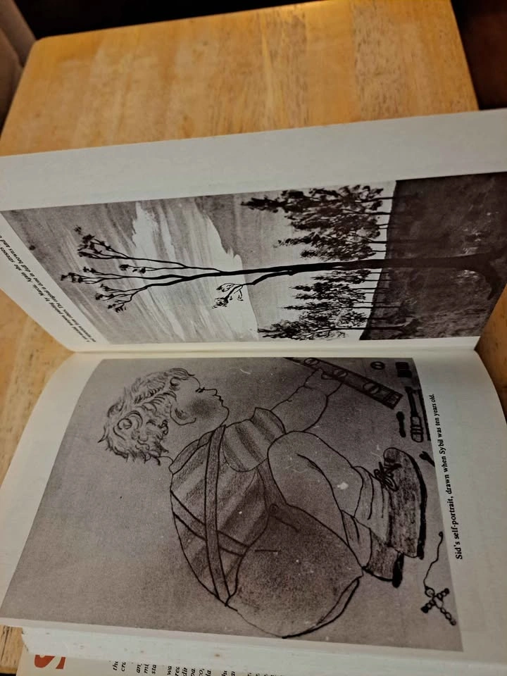 Sybil - Flora Rheta Schreiber Vintage 1973 Hardcover - photo 3