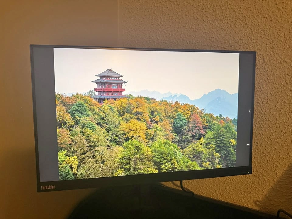 Lenovo 24" 1440P QHD IPS Monitor