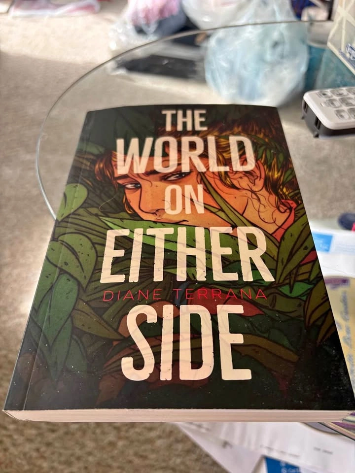 The world on either side - chapter book