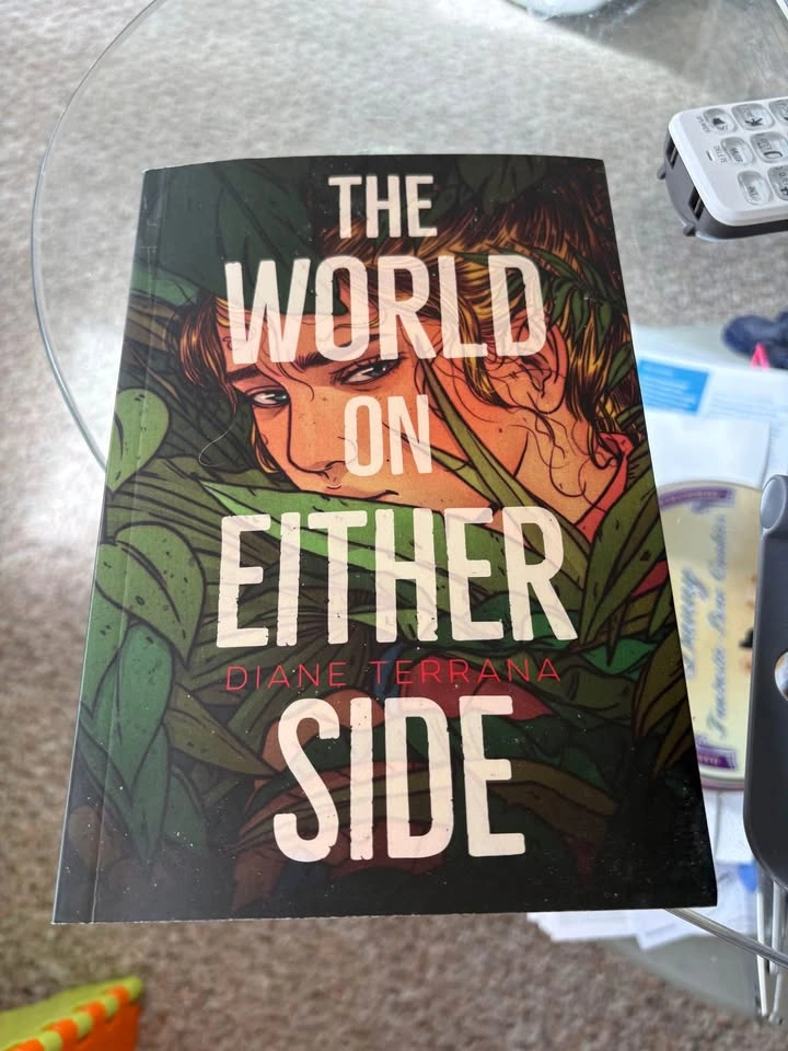 The world on either side - chapter book - photo 2