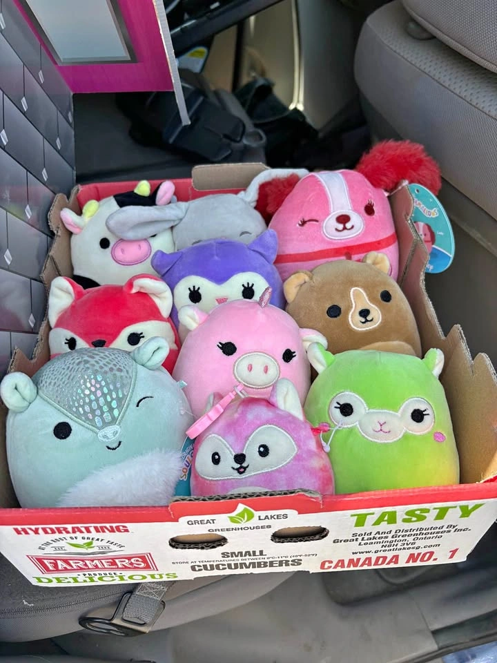 Squishmallows Plush Toy Collection