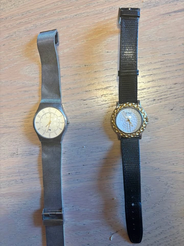 Vintage Watch Lot - Skagen, ESQ, Bering, Oscar de la Renta
