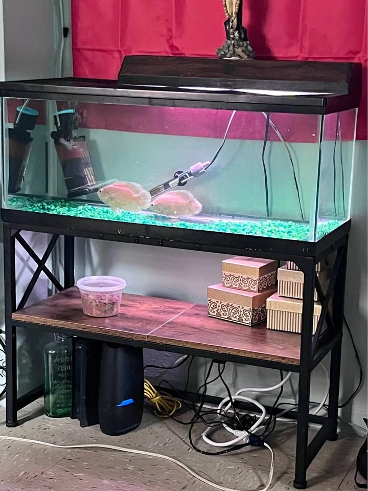 20 Gallon Long Tank bundle