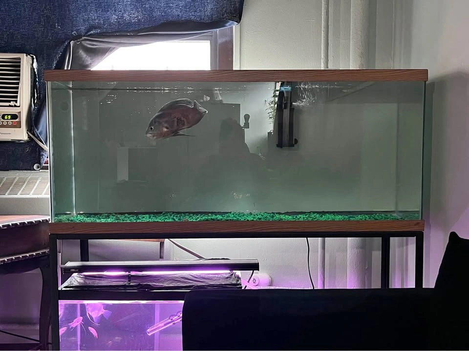 55 gallon Long Tank Bundle