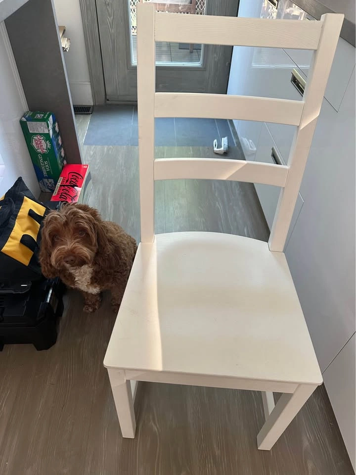 IKEA NORDVIKEN Chair - photo 2