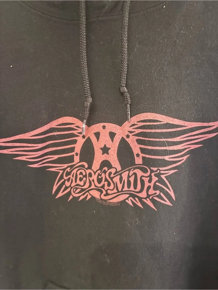 Aerosmith classic wing logo black pullover hoodie - photo 2