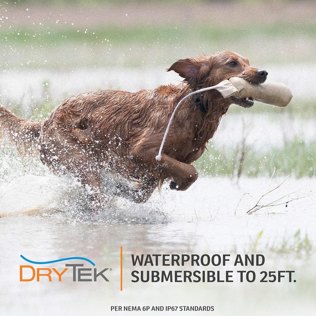 NoBark Anti-Bark Collar, Waterproof and Submersible - photo 5