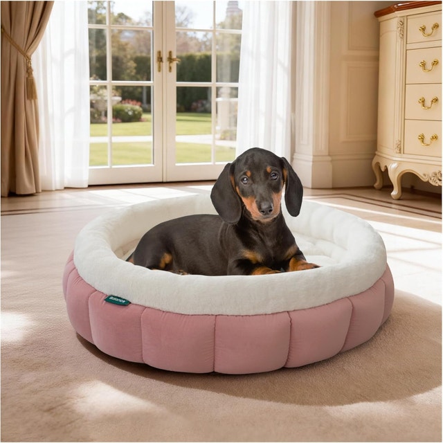 Cat Beds for Indoor Cats