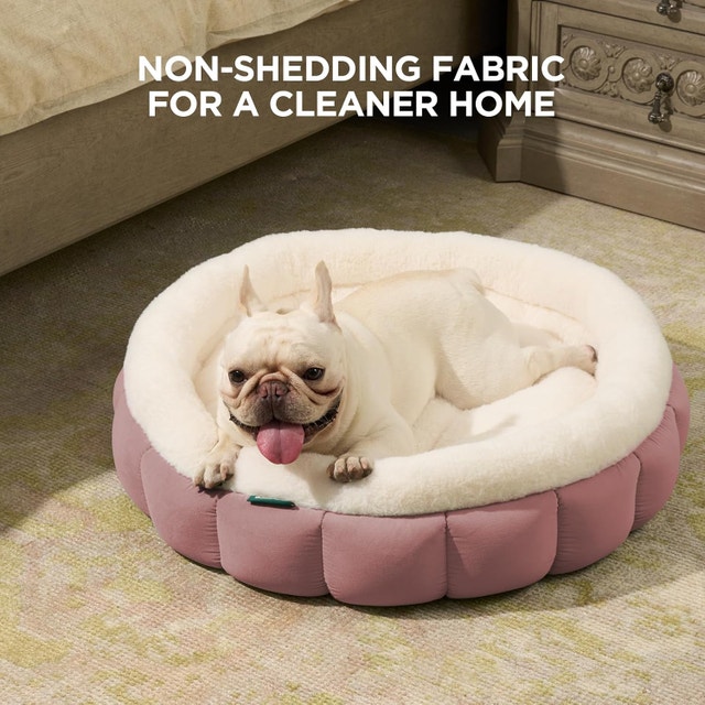 Cat Beds for Indoor Cats - photo 3