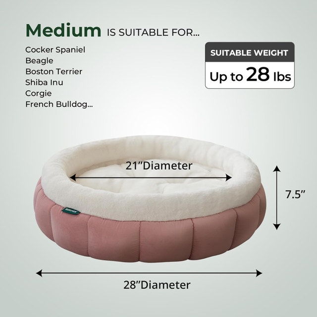 Cat Beds for Indoor Cats - photo 5