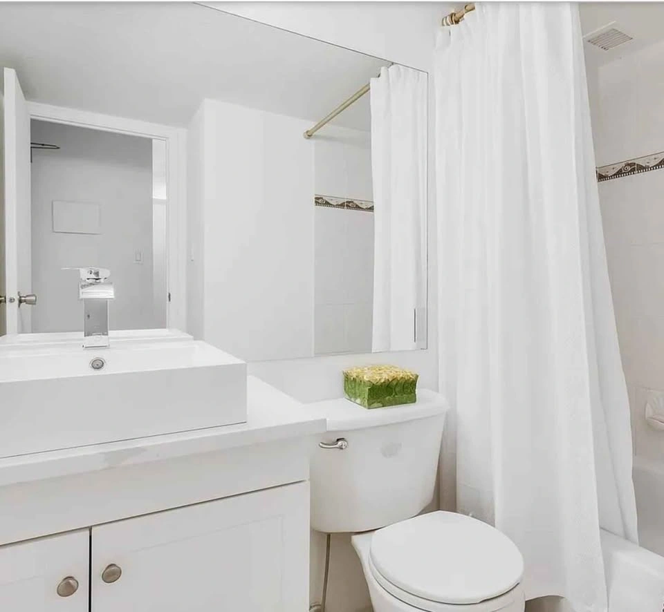 1 Bed 1 Bath - Apartment - photo 5
