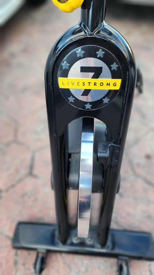Livestrong LS9.9IC Indoor Cycle / Spin Bike - photo 5