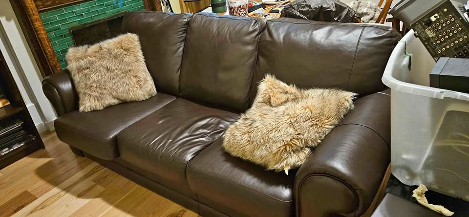 Leather Couch