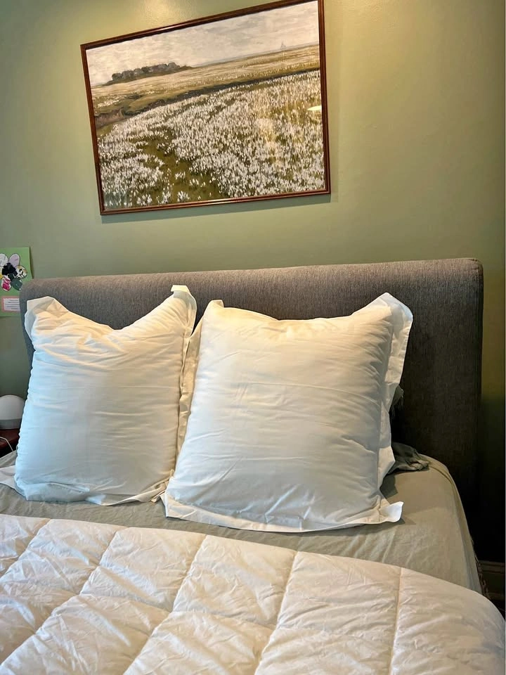 Euro pillows and Queen Duvet cover