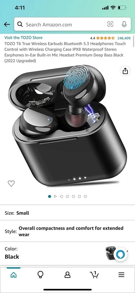 Earbuds