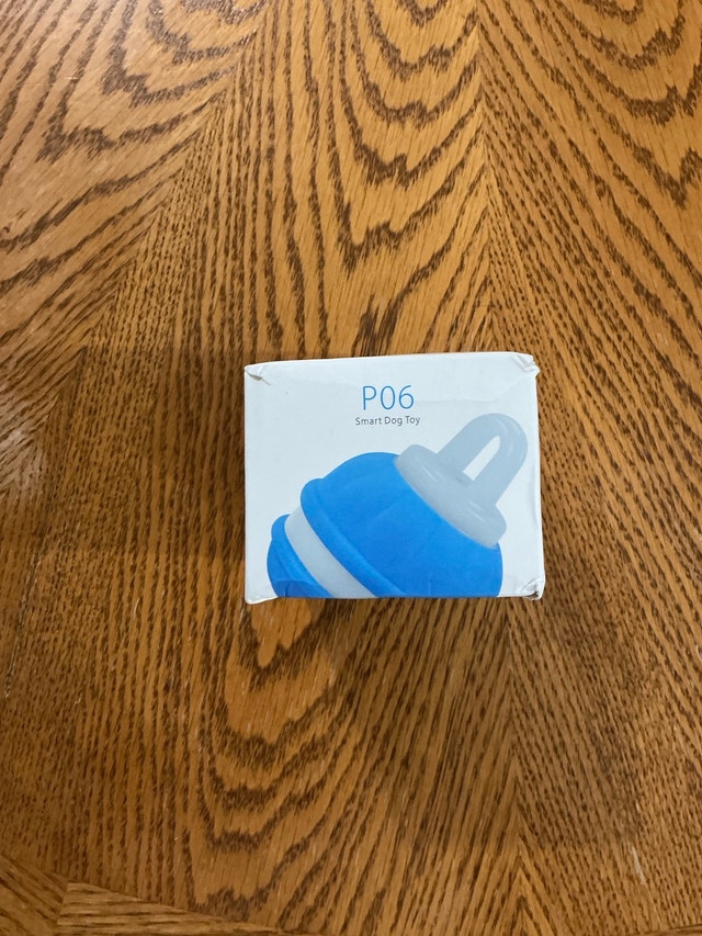 P06 Smart Dog Toy