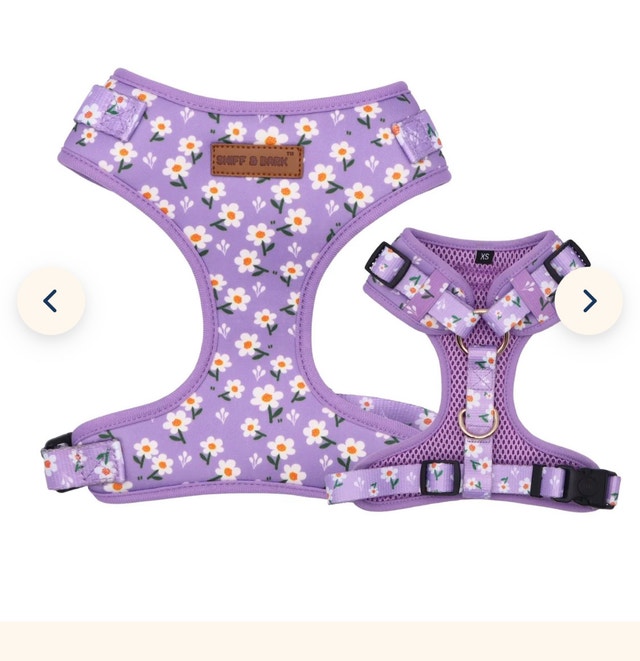 Purple Daisy Lockable Harness! Size XS