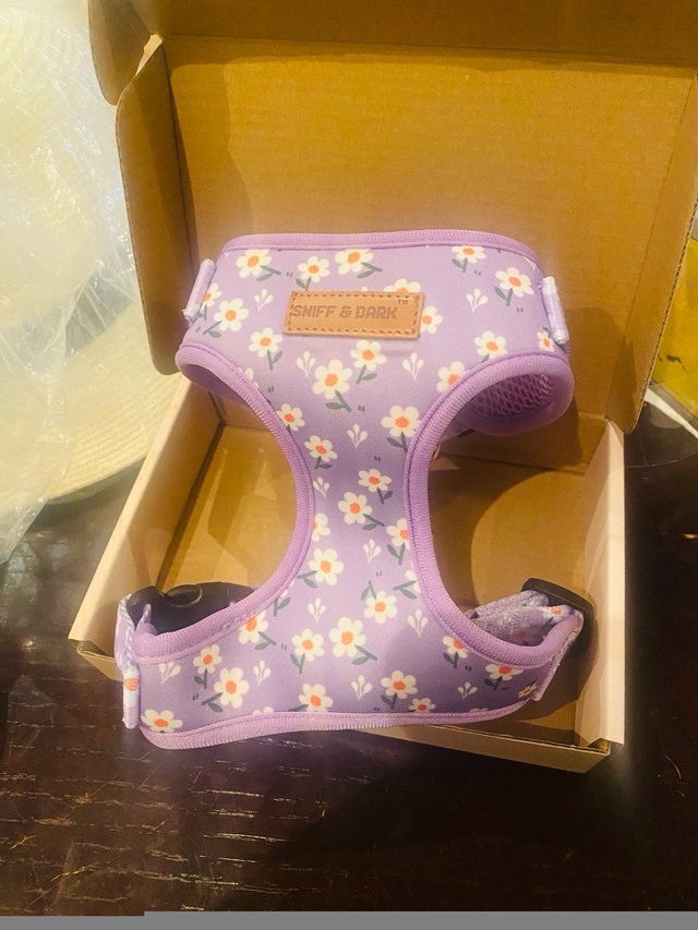 Purple Daisy Lockable Harness! Size XS - photo 2
