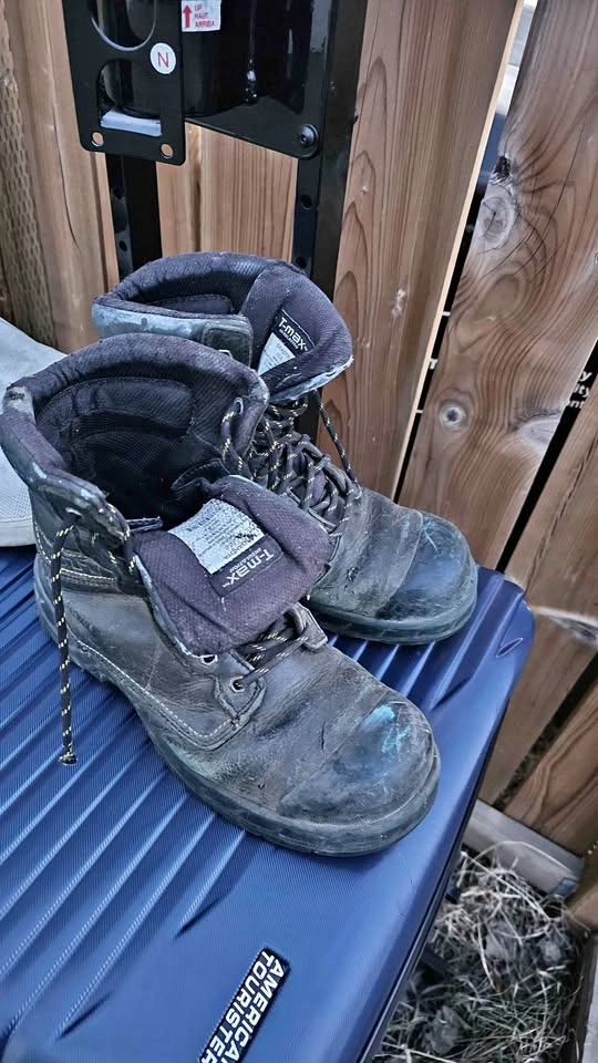 Steel Toe Men's Work Shoes - Size 10