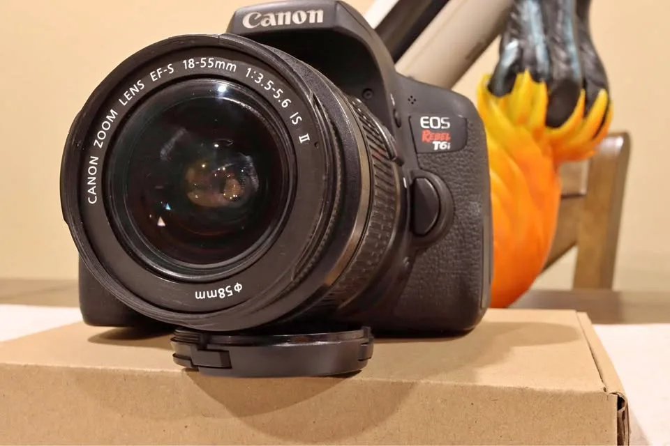 Canon Rebel T6i w/ 18-55mm IS II lens